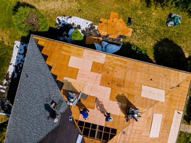 Best Storm Damage Roof Repair  in South Browning, MT
